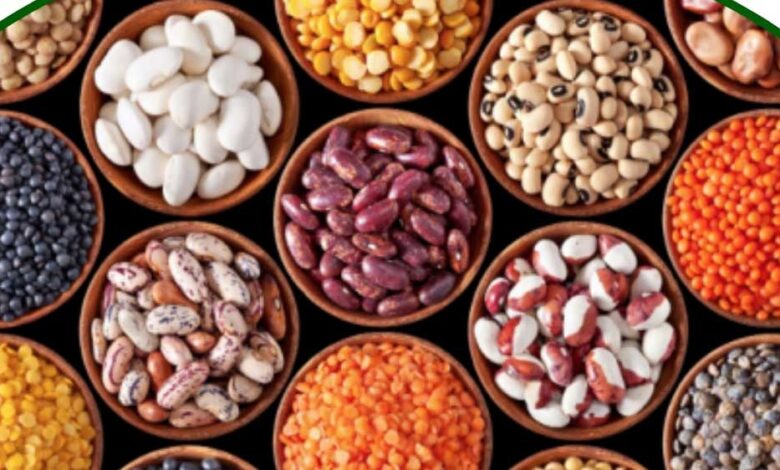 ग्वालियर-:-विजयाराजे-सिंधिया-कृषि-विश्वविद्यालय-बना-ऑयल-सीड-हब,-किसानों-को-मिलेगा-खुद-बीज-उगाने-का-मौका