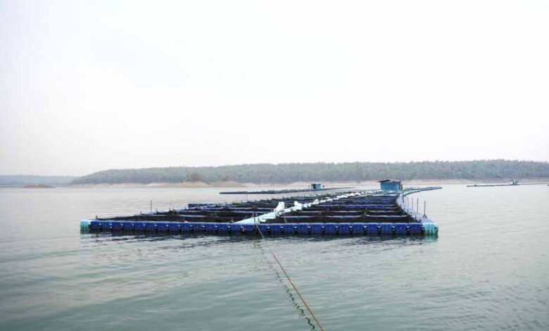 छत्तीसगढ़-में-फिशरीज-के-नये-युग-की-शुरूआत,-हसदेव-डुबान-में-बनेगा-पहला-एक्वा-पार्क