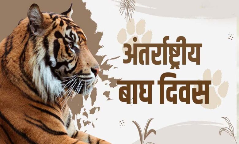 मुख्यमंत्री-डॉ.-यादव-मंगलवार-को-अंतर्राष्ट्रीय-बाघ-दिवस-पर-राज्य-स्तरीय-कार्यक्रम-में-होंगे-शामिल