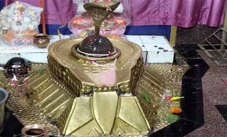 छत्तीसगढ़-का-चमत्कारी-शिवधाम:-नरहरेश्वर-महादेव-के-दर्शन-से-पूरी-होती-है-हर-मनोकामना