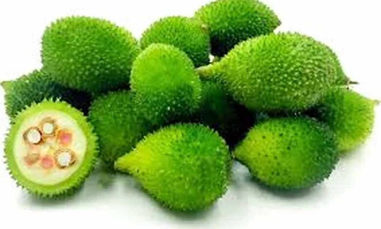 महंगी-लेकिन-असरदार:-राजधानी-के-अलग-अलग-बाजारों-में-खेखसी-400-रुपए-प्रति-किलो