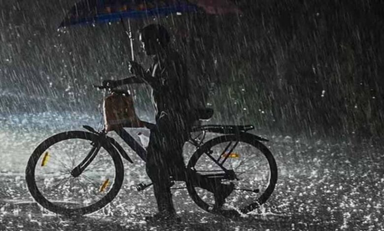 मौसम-विभाग-का-अलर्ट:-ग्वालियर-चंबल-संभाग-के-इन-जिलों-में-भारी-बारिश-की-संभावना