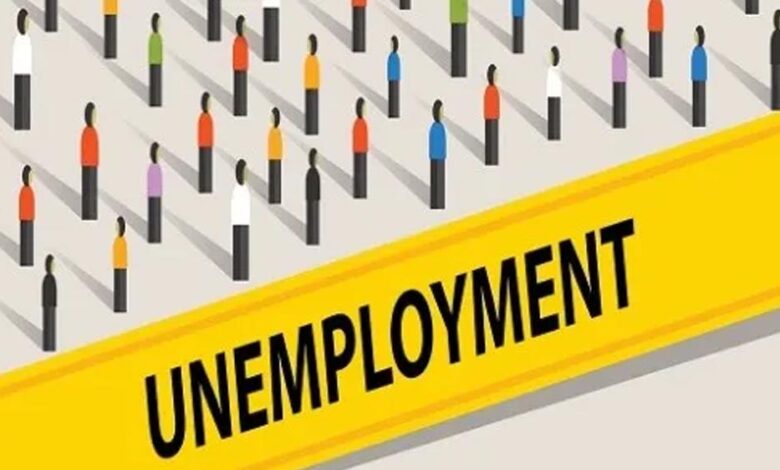 पांच-साल-में-62.75-लाख-बेरोजगारों-ने-कराया-पंजीयन,-अब-घट-रही-है-संख्या