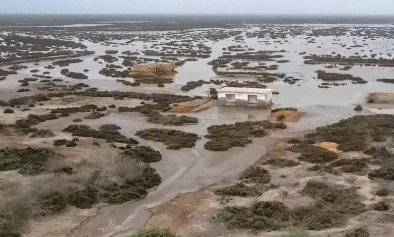 सिंधु-डेल्टा-का-जल-संकट:-80%-पानी-गायब,-12-लाख-लोग-बेघर,-पाकिस्तान-पर-नई-आपदा-की-दस्तक