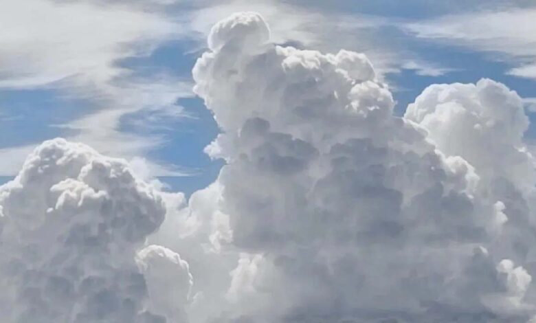 बिलासपुर-बना-प्रदेश-का-सबसे-गर्म-शहर,-बारिश-की-कमी-से-बढ़ी-लोगों-की-परेशानी