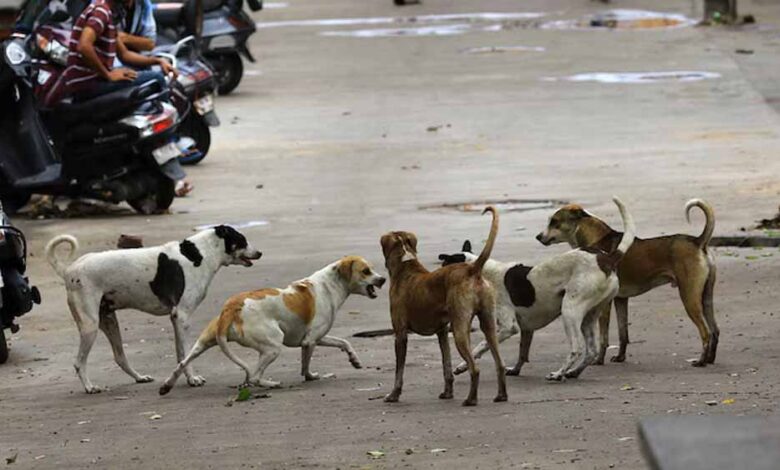 आवारा-कुत्तों-के-आदेश-के-खिलाफ-हंगामा,-दिल्ली-पुलिस-ने-शांत-कराया-और-केस-दर्ज-किया