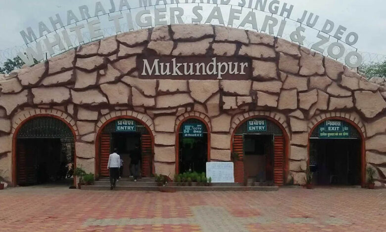 मुकुंदपुर-टाइगर-रिजर्व-को-रीवा-में-शामिल-करने-पर-mp-में-सियासी-हलचल