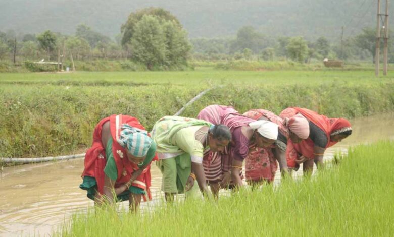समय-पर-मिला-खाद,-खिल-उठी-उम्मीदें,-संतोष-की-मेहनत-में-भरेंगे-रंग