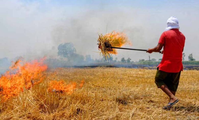 mp-में-किसानों-को-सिखाया-जाएगा-फसल-अवशेष-प्रबंधन,-धान-की-पराली-और-गेहूं-की-नरवाई-से-मिलेगा-दोहरा-लाभ