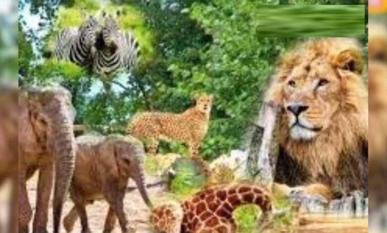 मुख्यमंत्री डॉ. यादव की उपस्थिति में वन्यजीवों के पुर्नवास के लिए हुआ एमओयू