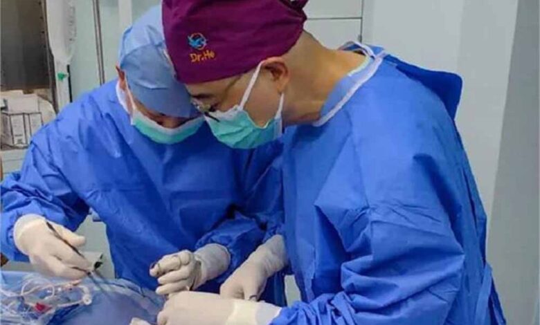 ब्रेन-डेड-मरीज-पर-पहली-बार-सूअर-का-फेफड़ा-लगाया-गया,-साइंस-ने-कर-दिखाया-करिश्मा