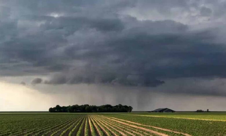 सितंबर-में-सामान्य-से-ज्यादा-बरसात,-किसानों-को-इन-फसलों-पर-रखनी-होगी-नजर