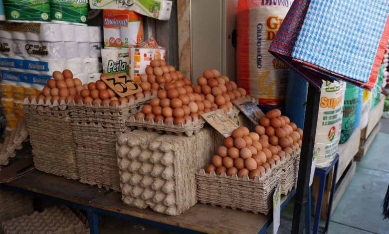 अमेरिका की नाकामी: रूस को पंगु बनाने की कोशिश में खुद पड़ गया फंसा, अब अंडे खरीदने को मजबूर