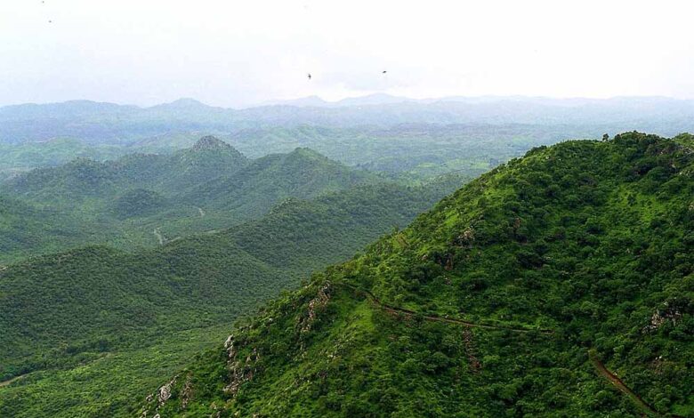 अरावली-पर-घमासान!-‘ग्रेट-ग्रीन-वॉल’-हटने-से-क्या-सच-में-रेगिस्तान-बन-जाएंगे-ये-राज्य?-जानिए-पूरी-सच्चाई