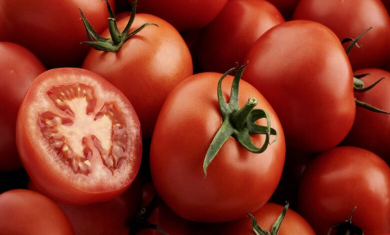 सीजन-में-भी-टमाटर-के-बढ़े-दाम,-जानें-कीमत-बढ़ने-की-वजह