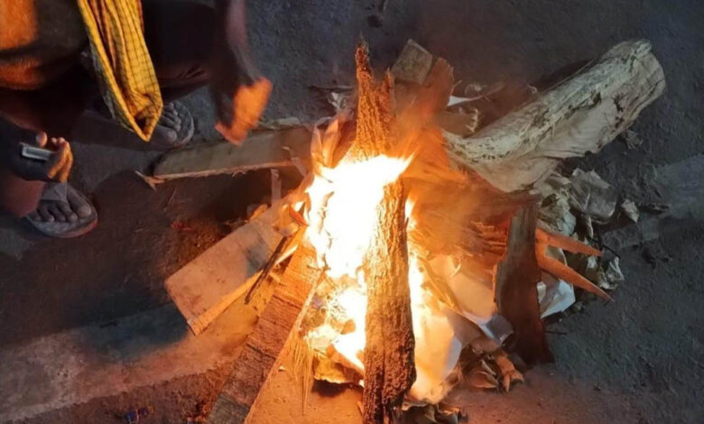 नए-साल-पर-झटका:-टाइगर-रिज़र्व-के-रिसॉर्ट्स-और-होटलों-में-अब-नहीं-जलेगा-अलाव,-सुप्रीम-कोर्ट-ने-लगाया-रोक