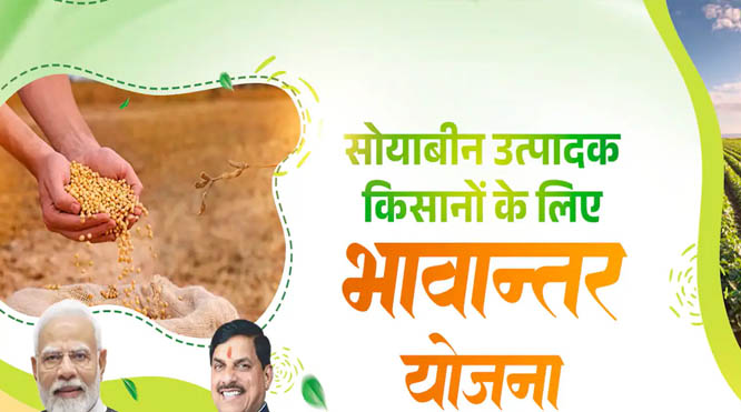 भावांतर-योजना-में-सोयाबीन-का-मॉडल-रेट-4345-रुपए-जारी