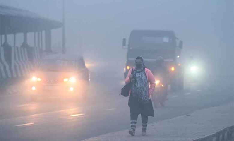 छत्तीसगढ़-में-ठंड-का-कहर:-गौरेला-पेंड्रा-मरवाही-में-घना-कोहरा,-शीतलहर-से-जनजीवन-प्रभावित