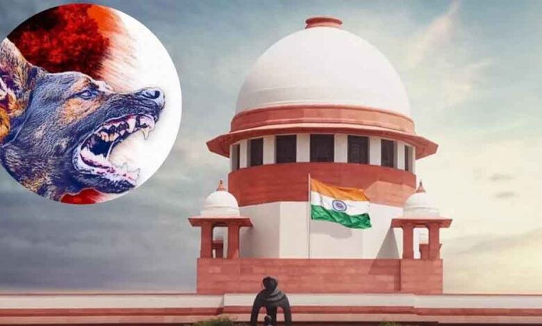 sc-में-सिब्बल-की-मांग–-आवारा-कुत्तों-की-हो-नसबंदी,-जज-का-तंज:-काउंसिलिंग-भी-करवा-दीजिए