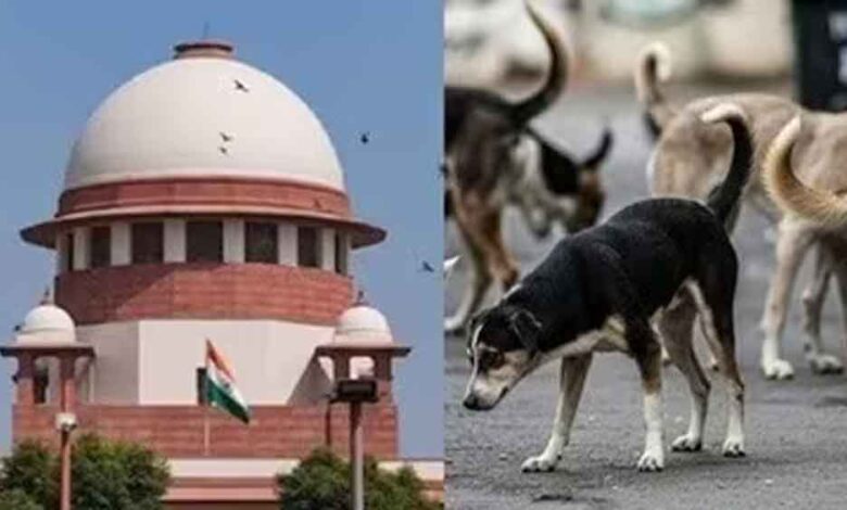 सड़कों-से-सभी-कुत्तों-को-हटाने-का-कोई-आदेश-नहीं,-सुप्रीम-कोर्ट-ने-दी-स्थिति-स्पष्ट