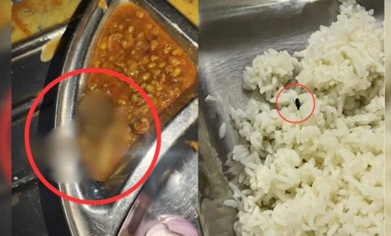 मेस-के-खाने-में-निकला-मरा-मेंढक-और-कीड़े-मकोड़े,-डेंटल-कॉलेज-में-गंभीर-लापरवाही-का-खुलासा