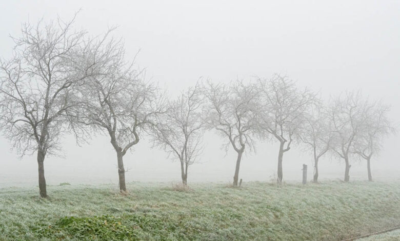 mp-में-सर्दी-का-कहर,-25-शहरों-में-पारा-10°-से-नीचे,-खजुराहो-में-3.6°;-15-जिलों-में-कोहरा,-ग्वालियर-चंबल-में-दिन-भी-ठिठुरे