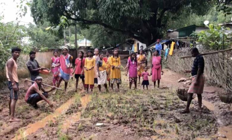 बस्तर-में-आगामी-जनगणना-की-तैयारियां-शुरू,-अधिकारियों-को-सौंपी-अहम-जिम्मेदारियां