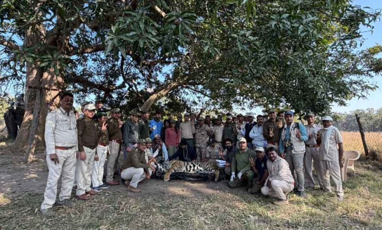 कान्हा-से-वीरांगना-दुर्गावती-टाइगर-रिज़र्व-के-लिये-नर-बाघ-रवाना