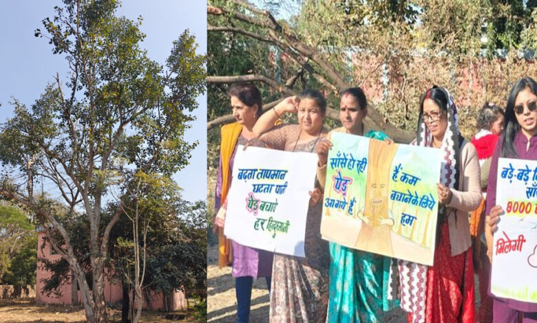 एमपी-नगर-में-बनेगा-नया-खाद्य-भवन,-50-साल-पुराने-150-पेड़-काटने-की-योजना,-करेंगे-‘चिपको-आंदोलन’