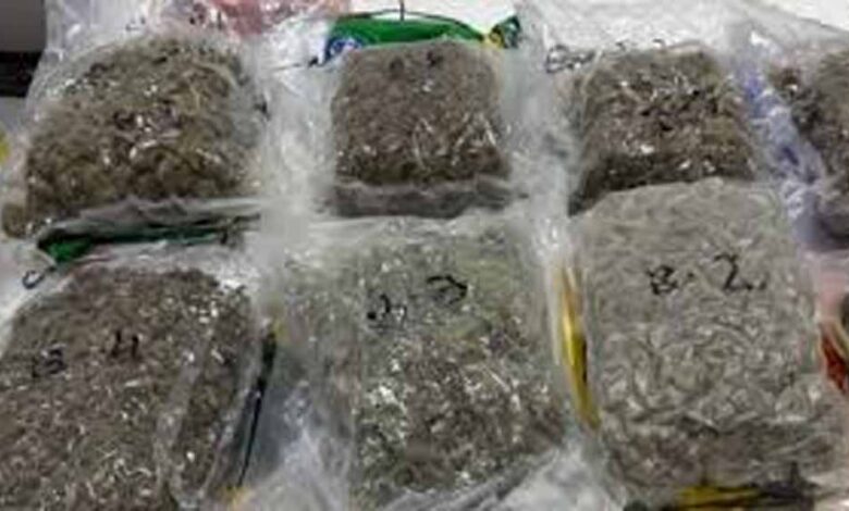 अहमदाबाद-एयरपोर्ट-पर-बड़ा-ड्रग्स-रैकेट-बेनकाब,-12.50-करोड़-की-खेप-जब्त,-4-तस्कर-गिरफ्तार