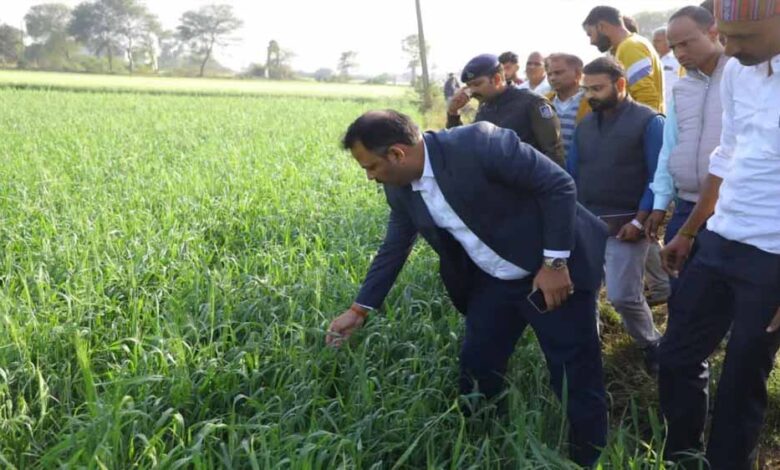 मध्य-प्रदेश-में-हर-किसान-को-फसल-मुआवजा,-मोहन-यादव-के-आदेश-पर-अधिकारी-खेतों-में-पहुँचे