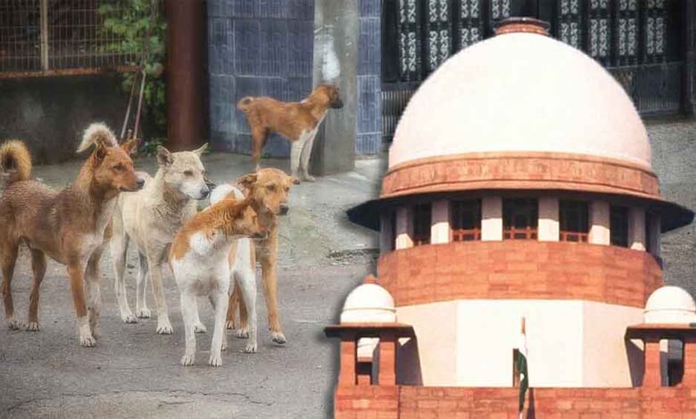 आवारा-कुत्तों-पर-sc-का-फैसला-जल्द,-वकीलों-से-हफ्ते-में-मांगी-दलीलें