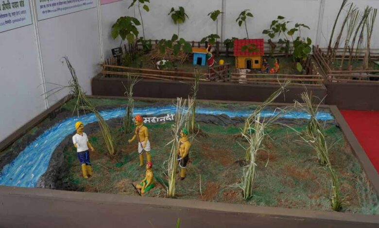 किसान-मेले-में-औषधीय-एवं-सुगंधित-पौधों-की-खेती-के-प्रति-किसानों-में-बढ़ा-रुझान