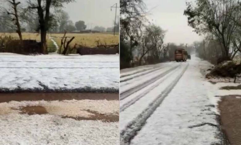 कुदरत-का-कहर:-ग्वालियर-में-ओलावृष्टि-से-90%-तक-फसलें-तबाह,-एक-किसान-की-जान-गई