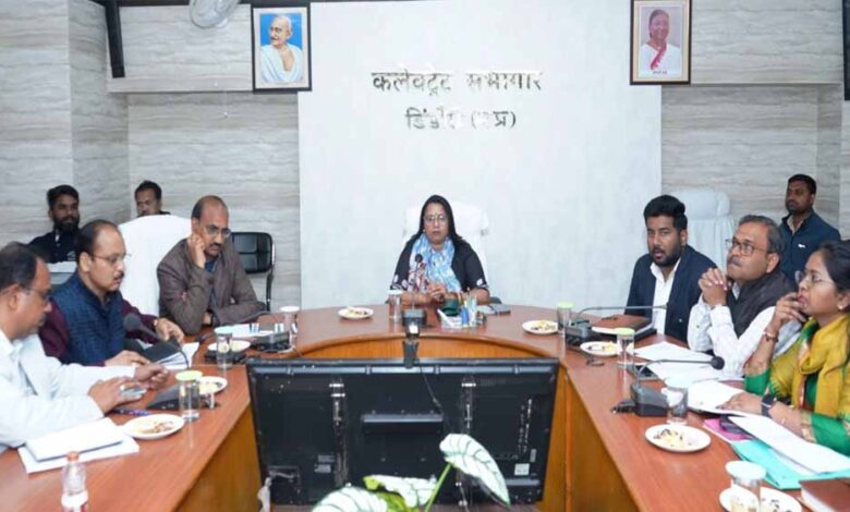 कलेक्टर-ने-सुनीं-आमजन-की-समस्याएं,-त्वरित-निराकरण-के-दिए-निर्देश