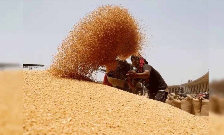 गेहूं-का-msp-2585-रुपये-तय,-आष्टा-मंडी-में-रबी-सीजन-की-नीलामी-शुरू