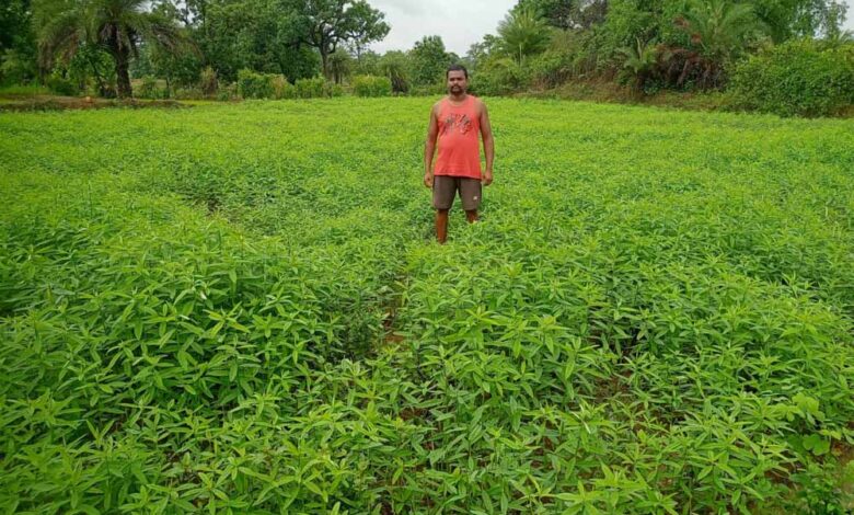 किसान-सुरेश-कुमार-नाग-को-मिला-‘भुइयां-के-भगवान’-सम्मान