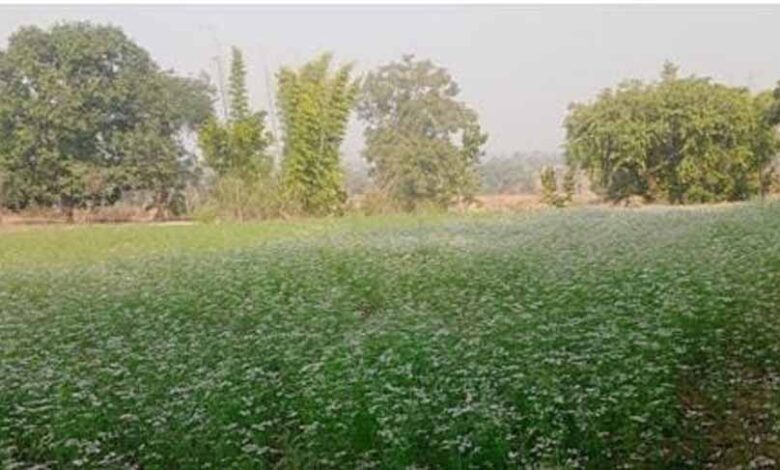 मोर-गांव-मोर-पानी-अभियान-से-45-परिवारों-की-जिंदगी-में-आया-बड़ा-बदलाव