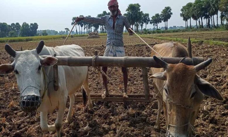 एमपी-में-होगा-‘जहर-मुक्त-खेती’-का-महायज्ञ,-देशभर-के-किसान-पहली-बार-एक-साथ-होंगे-जुटे