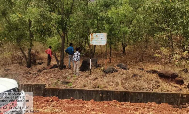 वन-विकास-निगम-और-एनएमडीसी-बचेली-के-बीच-50-हजार-पौधारोपण-का-अनुबंध