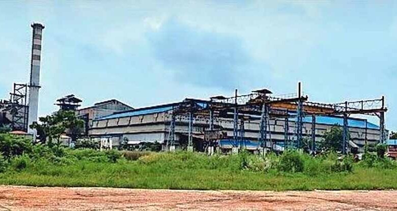 होली-से-पहले-कवर्धा-के-गन्ना-किसानों-को-बड़ी-सौगात