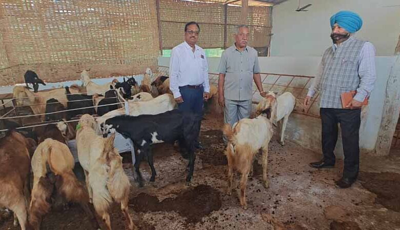 केन्द्रीय-पर्यवेक्षकों-ने-छत्तीसगढ़-में-पशुधन-योजनाओं-का-लिया-फीडबैक