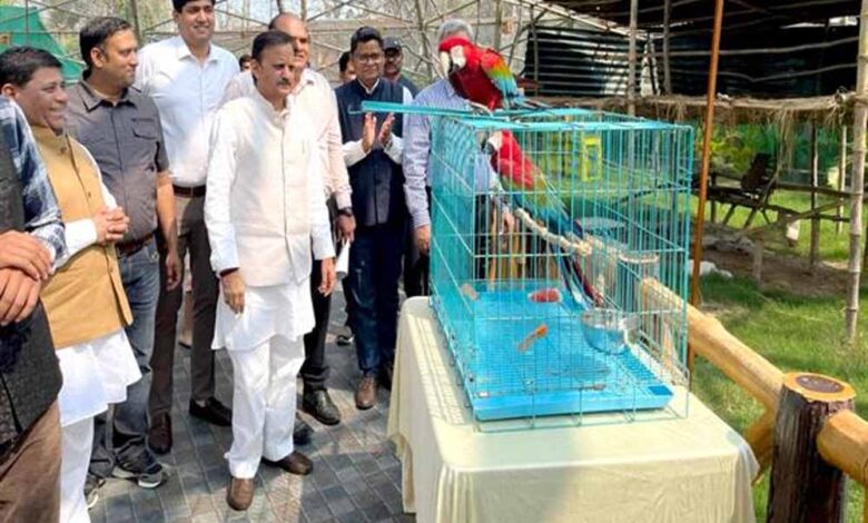 उप-मुख्यमंत्री-शुक्ल-ने-मुकुंदपुर-जू-का-किया-निरीक्षण-विदेशी-पक्षियों-से-एवियारी-हुआ-गुलजार