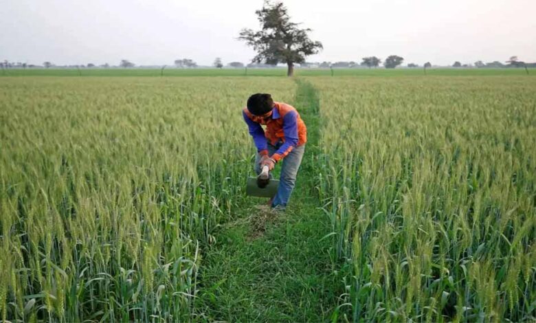 407-करोड़-का-आज-होगा-भुगतान,-106830-किसान-होंगे-लाभान्वित