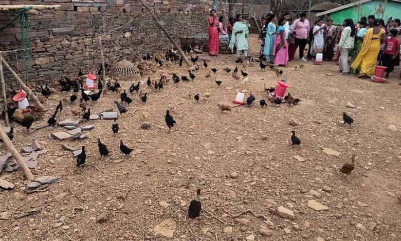 बस्तर-के-नवाचार-देख-उत्साहित-हुईं-बिलासपुर-की-दीदियाँ