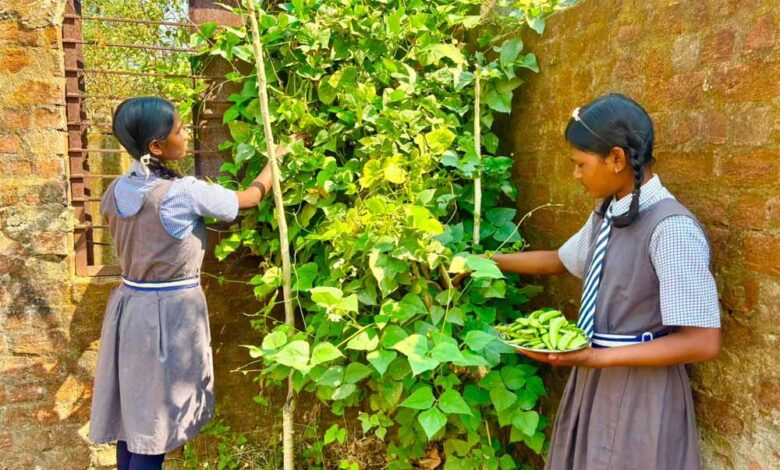 विद्यालय-की-बगिया-से-बच्चों-की-थाली-तक-पहुँच-रहा-ताजा-और-पौष्टिक-आहार