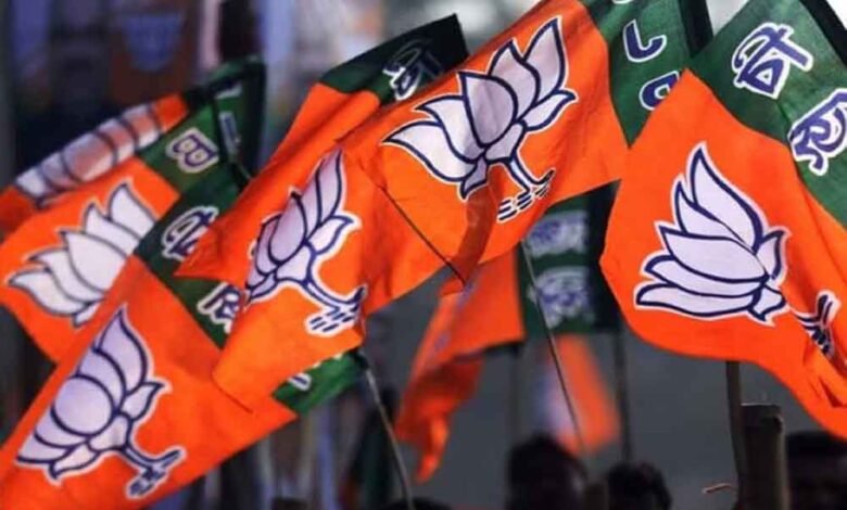 राज्यसभा-चुनाव-के-बाद-बड़ा-बदलाव!-राष्ट्रीय-टीम-में-mp-के-4–5-दिग्गजों-को-मिल-सकती-है-अहम-जिम्मेदारी