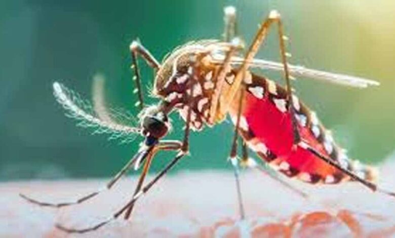 बस्तर-में-मलेरिया-से-निपटने-की-राष्ट्रीय-तैयारी,-मेडिकल-कार्यशाला-में-बताए-बचाव-के-उपाय
