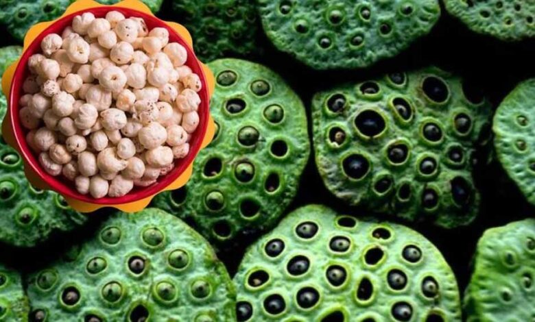 वनांचल-क्षेत्र-में-आय-के-नए-स्रोत-मखाना-खेती-से-सशक्त-होंगे-महिला-समूह