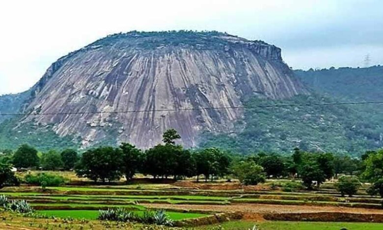 उत्तर-पूर्वी-छत्तीसगढ़-का-अनोखा-पर्यटन:-जशपुर-के-चाय-बागान-और-सोगड़ा-आश्रम-की-खूबसूरती